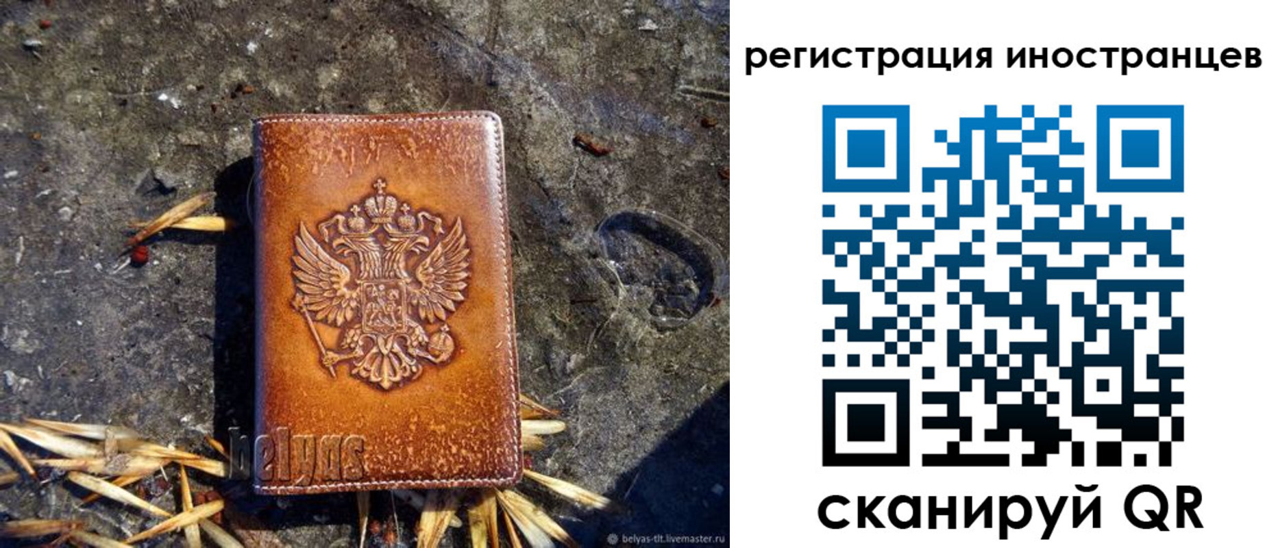 прописка регистрация в Новозыбкове